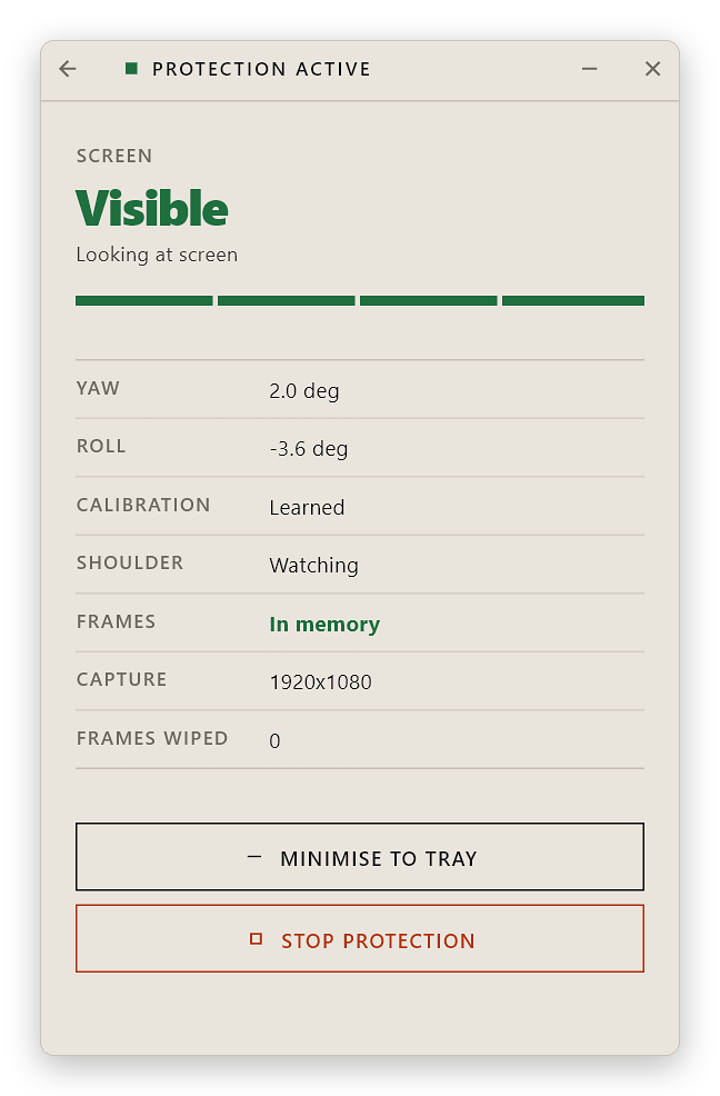 SafeScreen while protecting: screen visible, head yaw and roll, frames held in memory